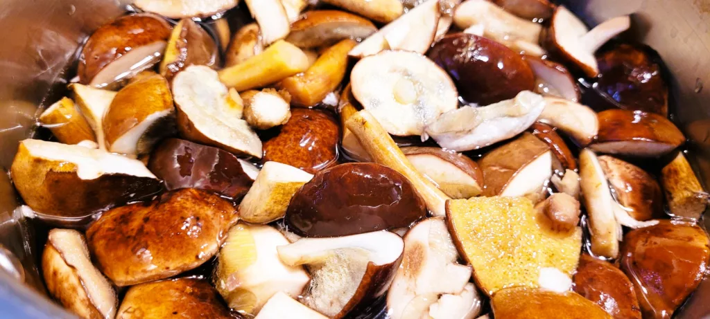 Farsz do Pierogów z Kapusty i Grzybów