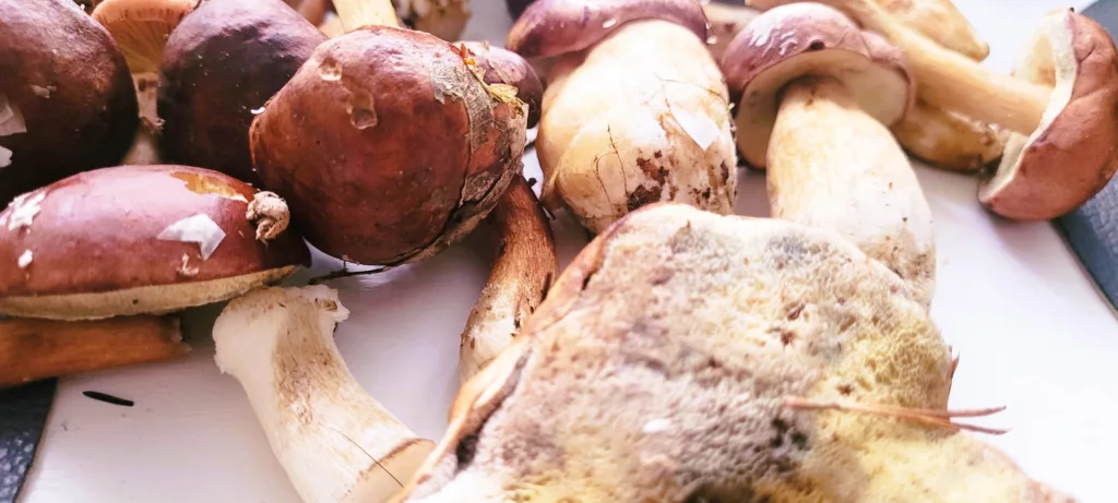 Polski Bigos: Przepis na Tradycję w Garnku