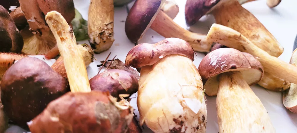 Sos z cebuli i grzybów do schabowego