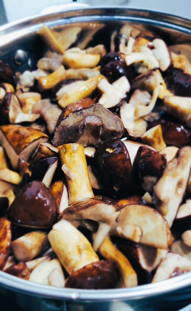 Leśne grzyby – zbiór i mrożenie