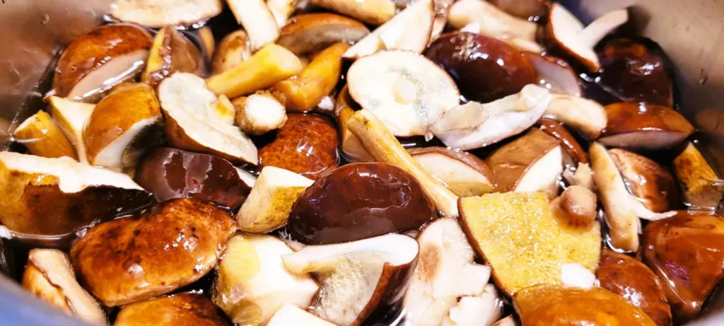 Leśne grzyby – zbiór i mrożenie